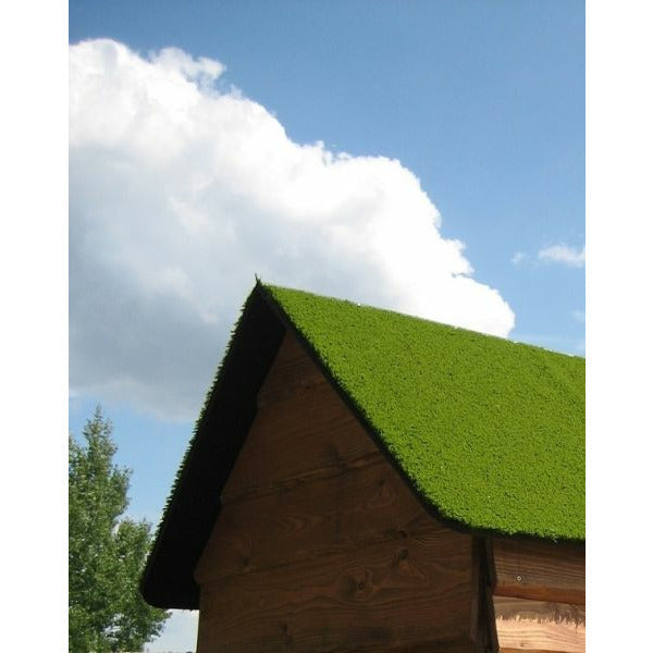 Lars Laj Veranda Haus Natur mit Grasdach Spielplatz