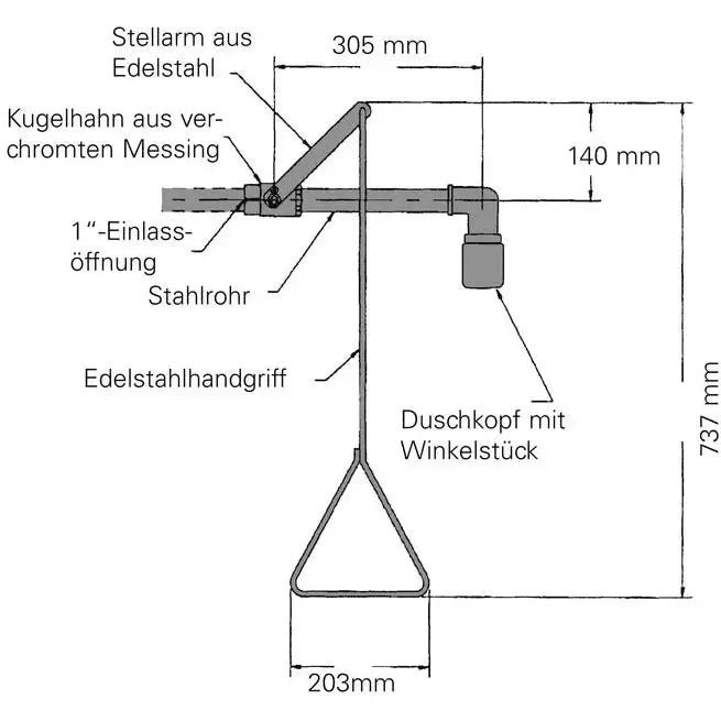 DENIOS Körperdusche G 1691 Zur Wandmontage, Aus Edelstahl