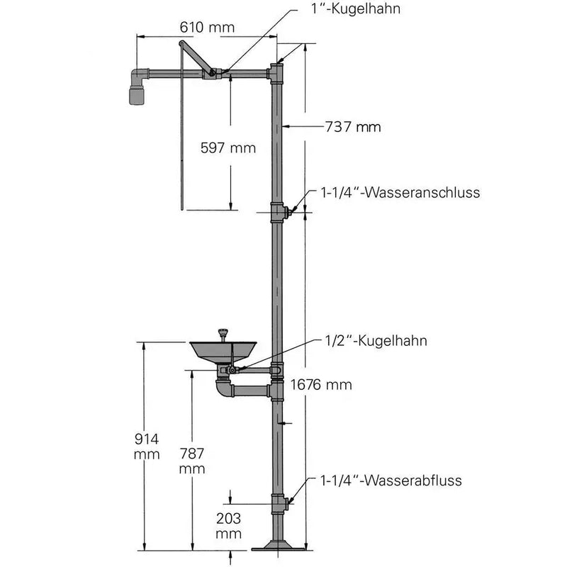 Douche pour le corps et les yeux DENIOS G 1991, en acier inoxydable, avec bassin en acier inoxydable pour douche pour les yeux et le visage 