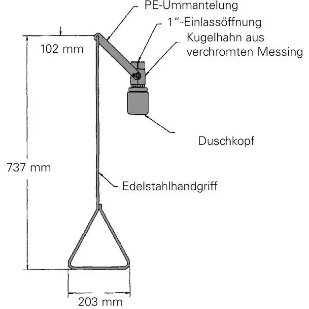 DENIOS Körperdusche G 1635 Zur Deckenmontage, Aus Edelstahl